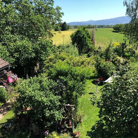 Haus Schwarzwaldblick Apartman Achern Kültér fotó