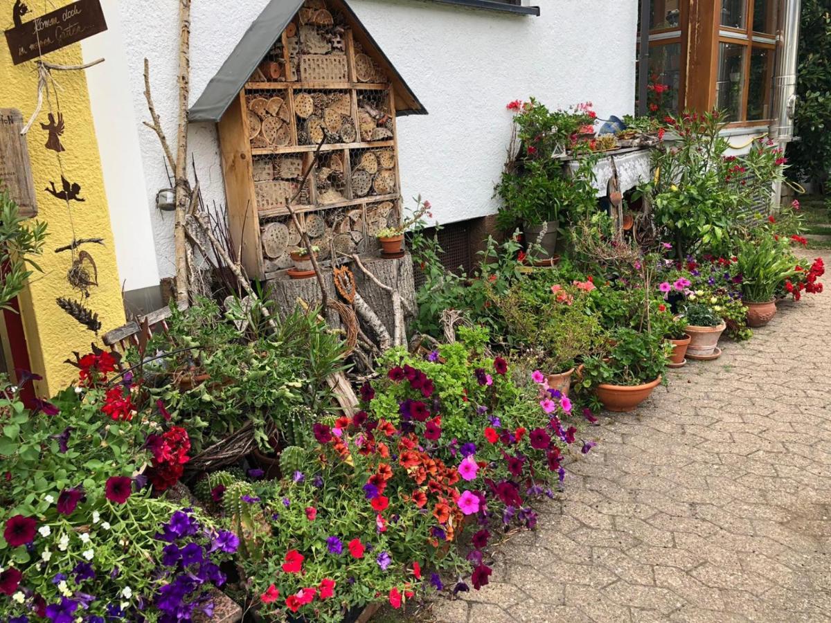 Haus Schwarzwaldblick Apartman Achern Kültér fotó